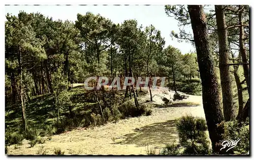 Cartes postales Saint Brevin L Ocean La Foret