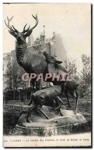 Cartes postales Nantes Le Jardin des Plates le Cerf la Biche le Faon