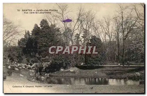 Cartes postales Nantes Jardin des Plantes Vue vers le Labyrinthe