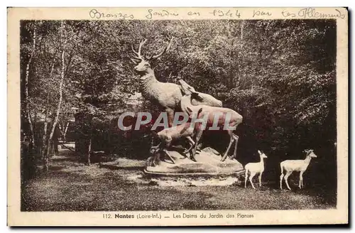 Ansichtskarte AK Nantes Les Daims du Jardin des Plantes