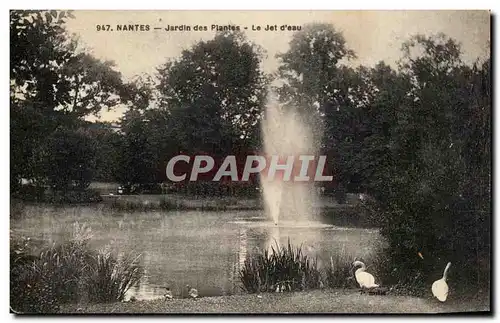 Cartes postales Nantes Jardin des Plantes Le Jet d eau