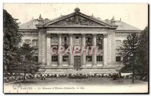 Cartes postales Nantes Le Museum d Histoire Naturelle