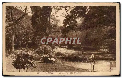 Ansichtskarte AK Nantes Le Jardin des Plantes