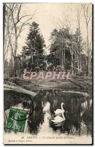 Cartes postales Nantes Un Coin Du Jardin des Plantes Cygne Swan