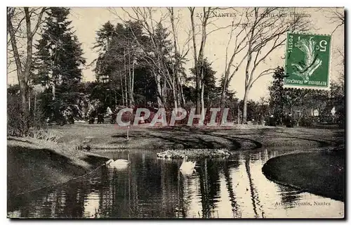 Ansichtskarte AK Nantes Le jardin des plantes Le petit etang