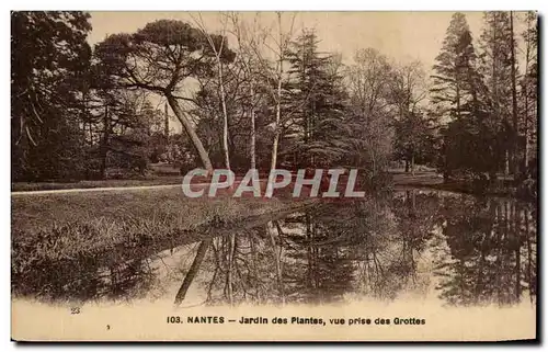 Ansichtskarte AK Nantes Jardin des Plantes Vue Prise des Grottes