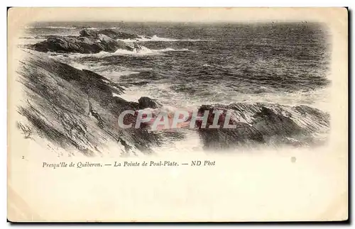 Cartes postales Quiberon Presquile La Pointe de Poul Plate