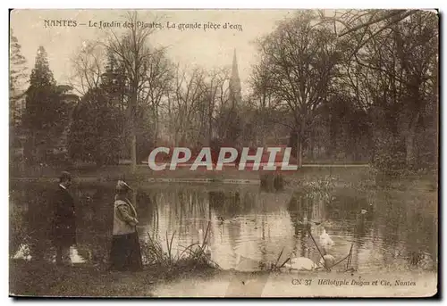 Ansichtskarte AK Nantes Le Jardin des Plantes La grande Piece d eau Cygne Swan