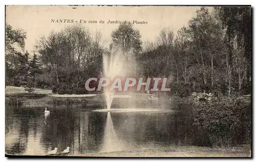 Cartes postales Nantes Un coin du Jardin des Plantes