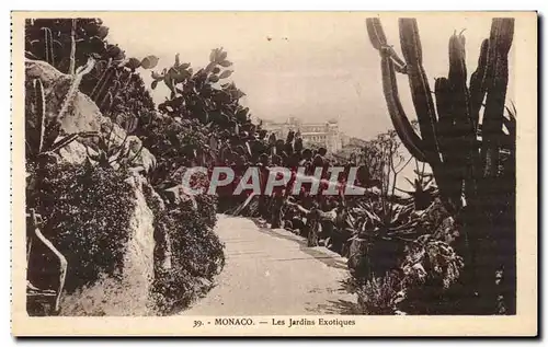 Cartes postales Monaco Les Jardins Exotiques