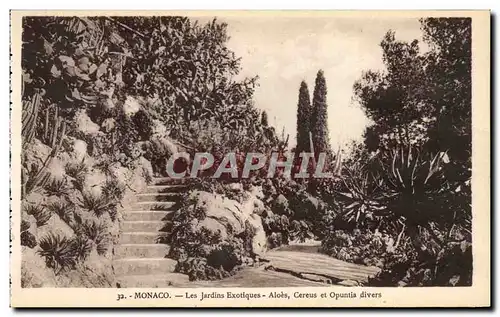 Cartes postales Monaco Les Jardins Exotiques Aloes Cereus et opuntia divers