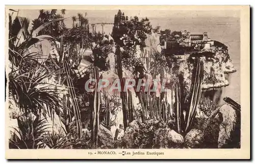 Cartes postales Monaco Les Jardins Exotiques