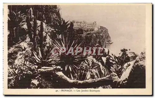 Cartes postales Monaco Les Jardins Exotiques