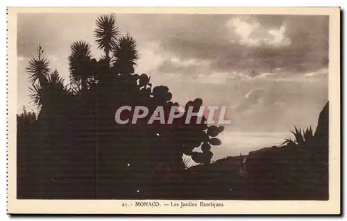 Cartes postales Monaco Les Jardins Exotiques