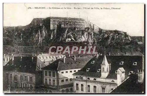 Cartes postales Belfort Le Chateau Le Chateau et le Lion En Bas