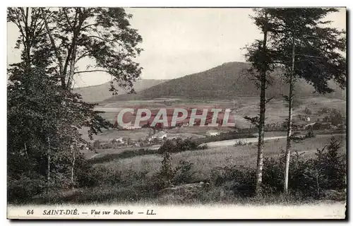 Cartes postales Saint Die Vue sur Robache