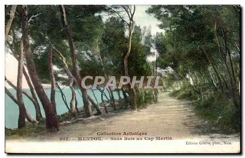 Cartes postales Menton Sous Bois au Cap Martin