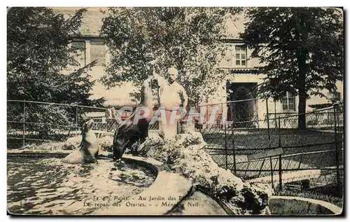 Cartes postales Paris Au Jardin des Plantes Le repas des Otaries