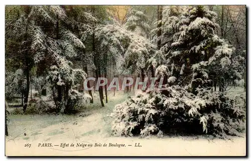 Ansichtskarte AK Paris Effet de Neige au Bois Boulogne