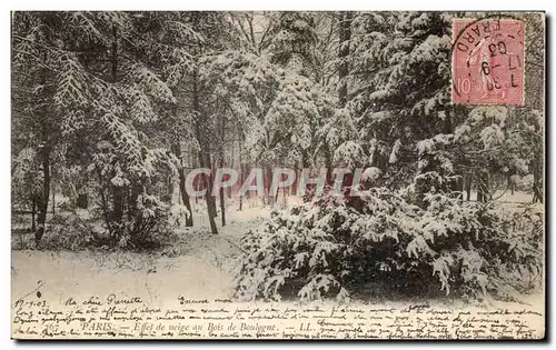 Cartes postales Paris Effet de neige au Bois de Boulogne