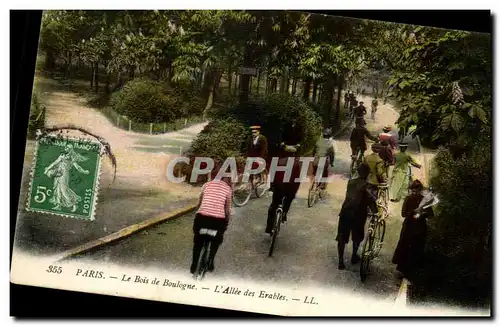 Cartes postales Paris Le Bois de Boulogne L Allee des Erables Velo Cycling Bike Cycle