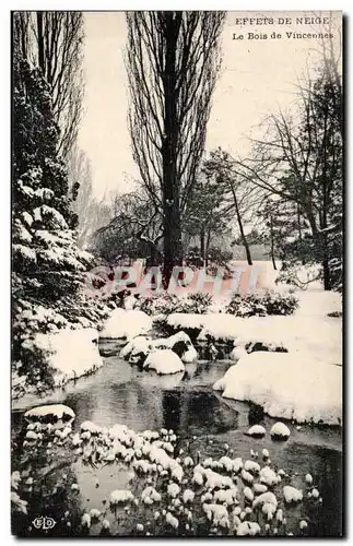 Ansichtskarte AK Effets De Neige Le Bois de Vincennes