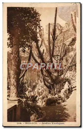 Cartes postales Monaco Jardins Exotiques