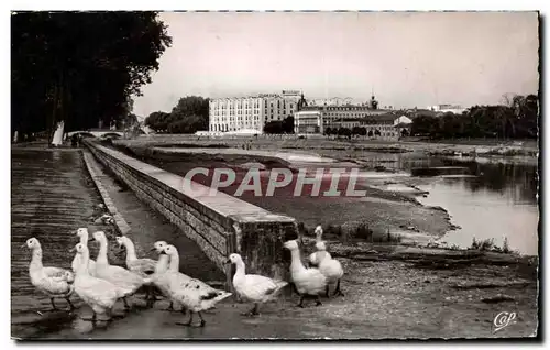 Cartes postales moderne Dax Les Bords de L Adour