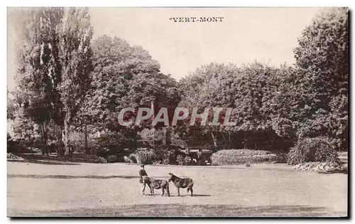 Cartes postales Vert Mont Poneys Poney Cheval Horse