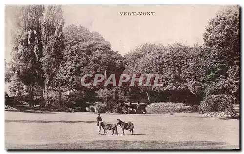 Ansichtskarte AK Vert Mont Poneys Cheval Horse
