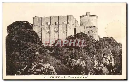 Cartes postales Falaise Le Chateau cote Nord