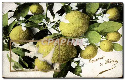 Cartes postales Souvenir de Nice Citron Lemon