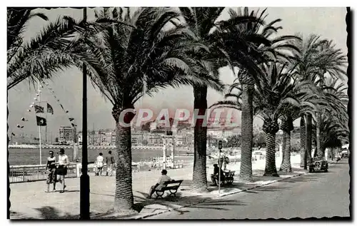 Cartes postales Cannes Promenade de la Croisette