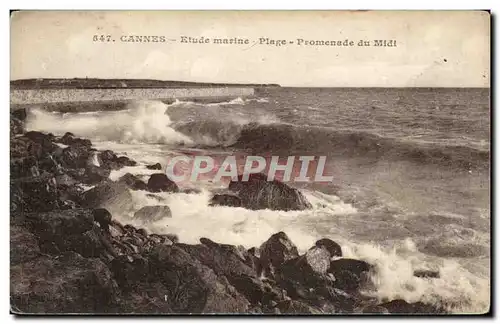 Cartes postales Cannes Etude marine Plage