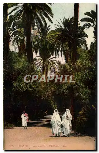 Cartes postales Alger Au Jardin D Essai Femmes