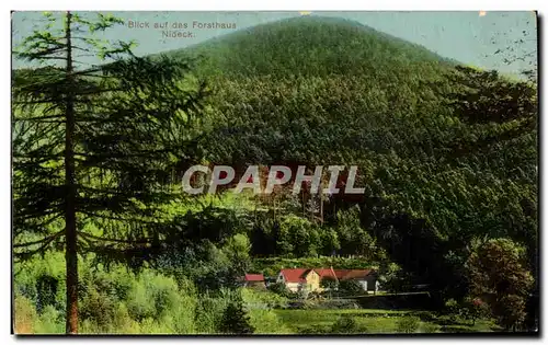 Cartes postales Blick aut das Forsthaus Nideck