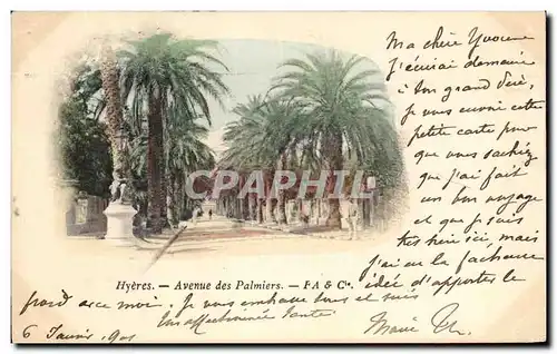 Cartes postales Hyeres Avenue des Palmiers