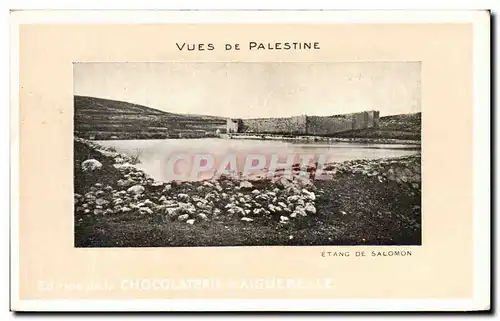 Ansichtskarte AK Vues De Palestine Etang De Salomon