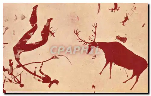 Cartes postales moderne Ciervo grande Grosser hirsch Grand cerf