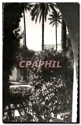 Cartes postales Laghouat Jardins de la Commune mixte