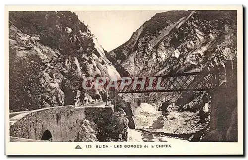 Cartes postales Blida Les Gorges de la Chiffa