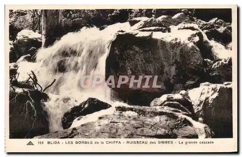 Cartes postales Blida Les Gorges de la Chiffa Ruisseau des Singes La grande cascade