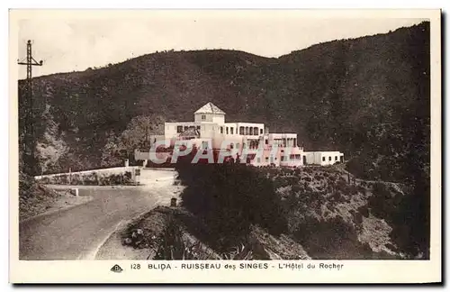 Cartes postales Blida Ruisseau des Singes L Hotel du Rocher