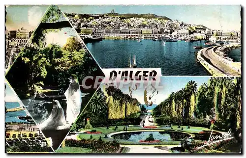 Cartes postales Souvenir d Alger