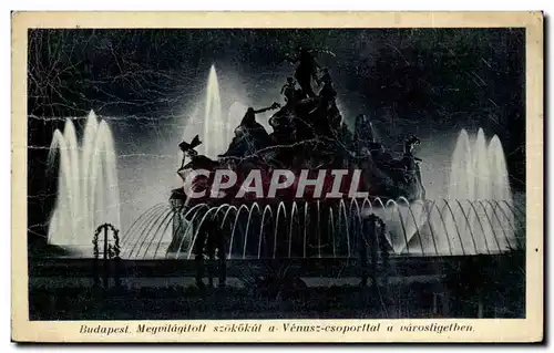 Cartes postales Budapest Megvilagiloll Szokokul a Venusz esoporttal a varosligethan Hongrie