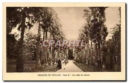 Cartes postales Missions De Ceylan Serie X Une allee de talipots Ceylon Ceylan Sri Lanka