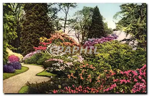 Ansichtskarte AK Villa Carlotta Lago di Como Il parco in primavera