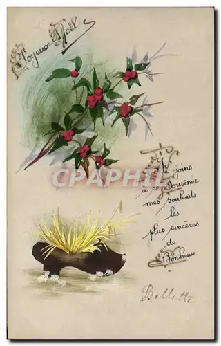 Cartes postales Christmas Joyeux Noel Sabot