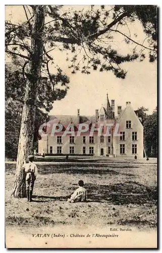 Cartes postales Vatan Chateau de I Abeaupiniere Enfants
