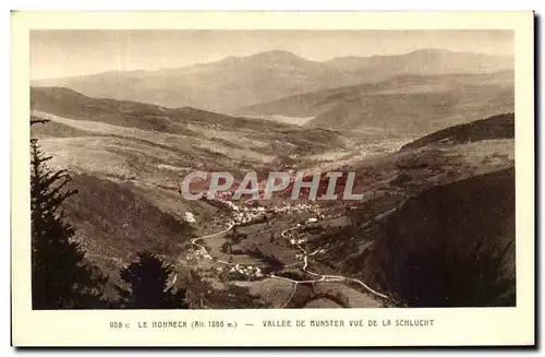 Cartes postales Le Hohneck Vallee De Munster Vue De La Schlucht